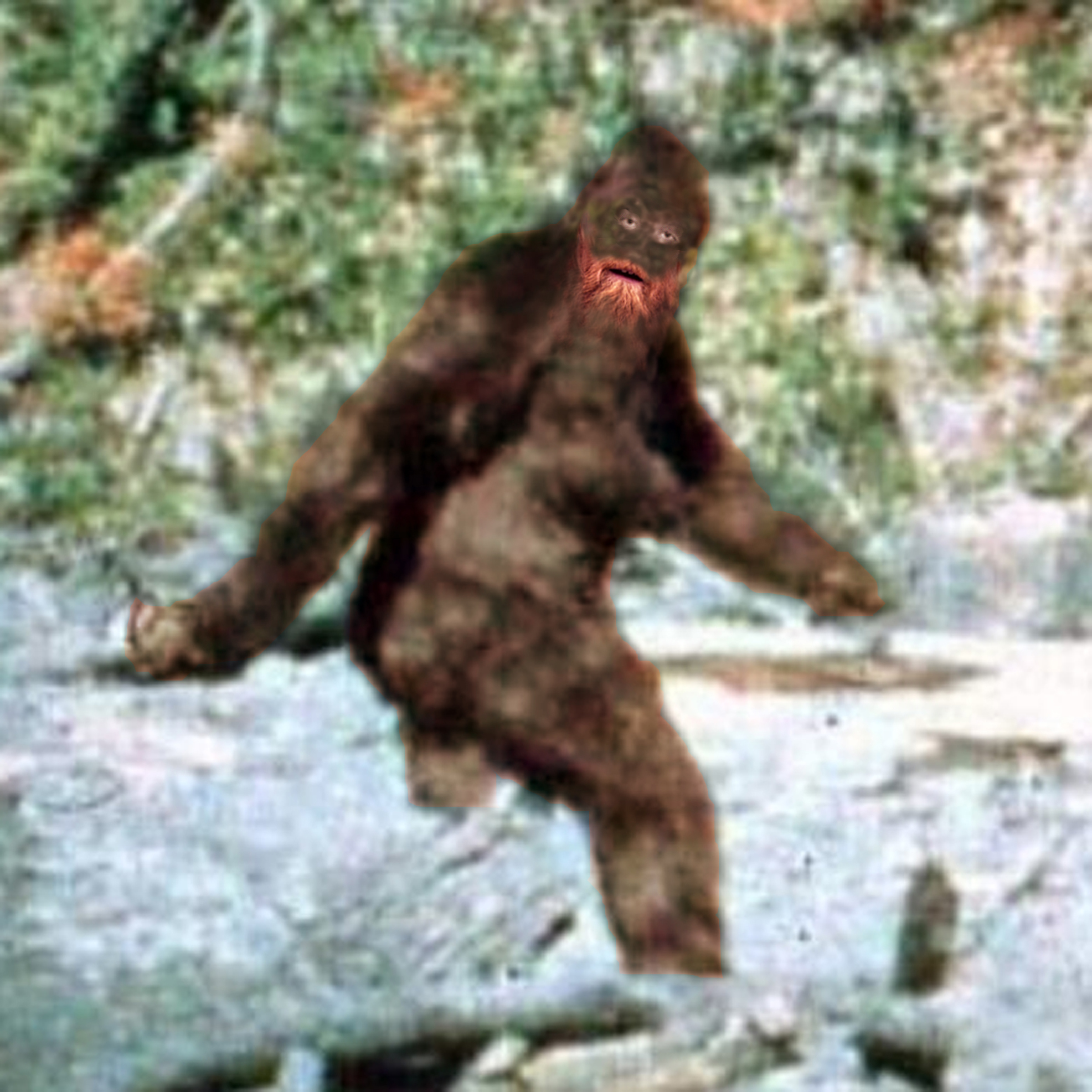 Bradfoot