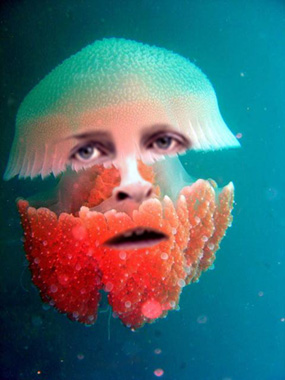 BradleyFish