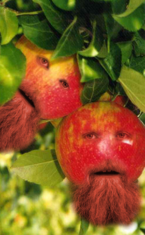 brapple