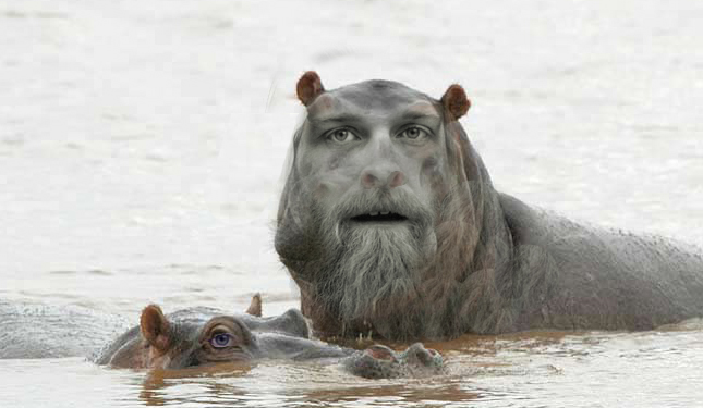 daveopotomus